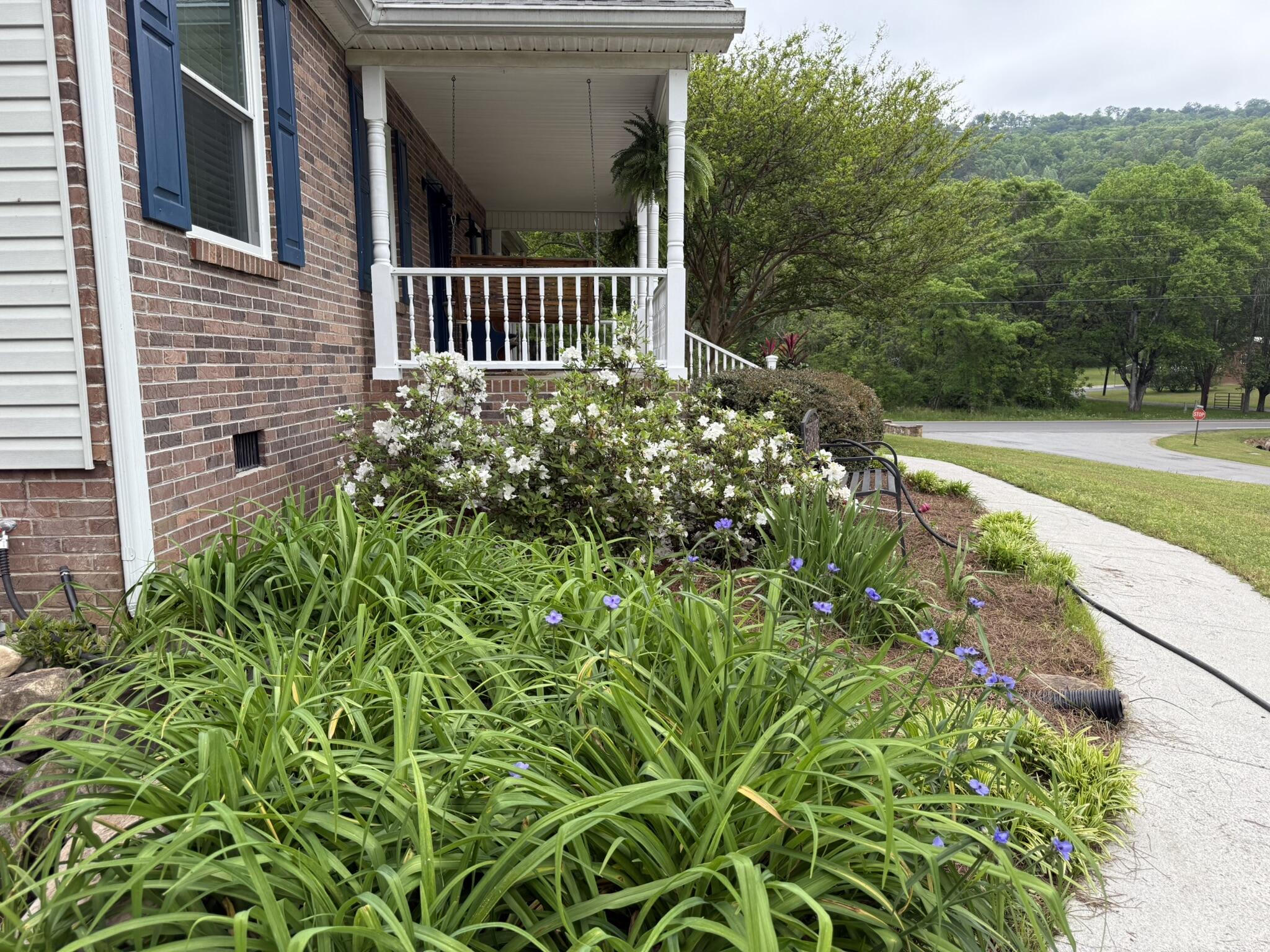 Trenton, Georgia 30752, United States, 3 Bedrooms Bedrooms, ,2 BathroomsBathrooms,Residential,Active,162193