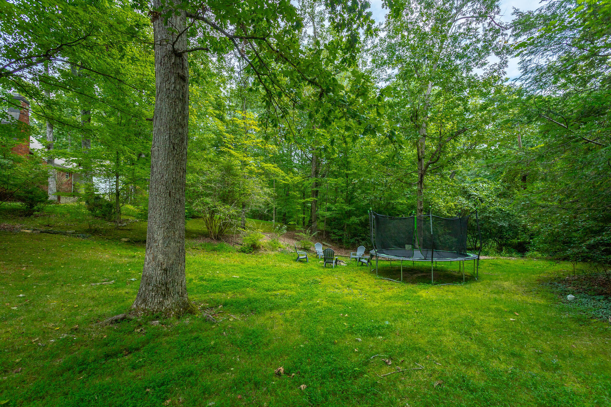 1102 Havenwood Drive, Signal Mountain, Tennessee image 23