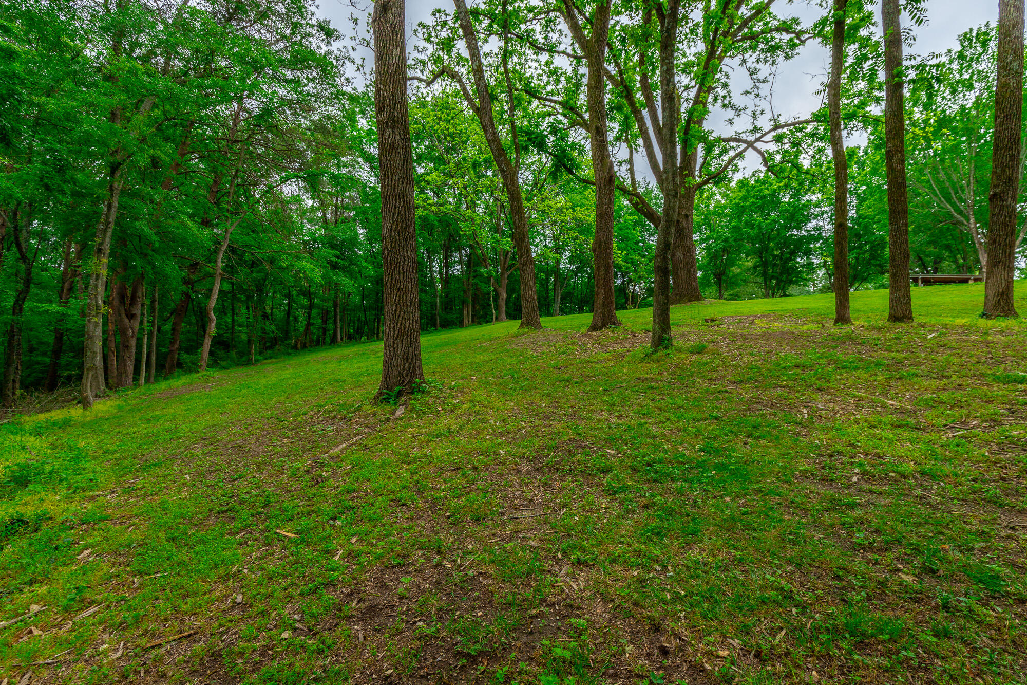 1203 Thomas Lane, Hixson, Tennessee image 11