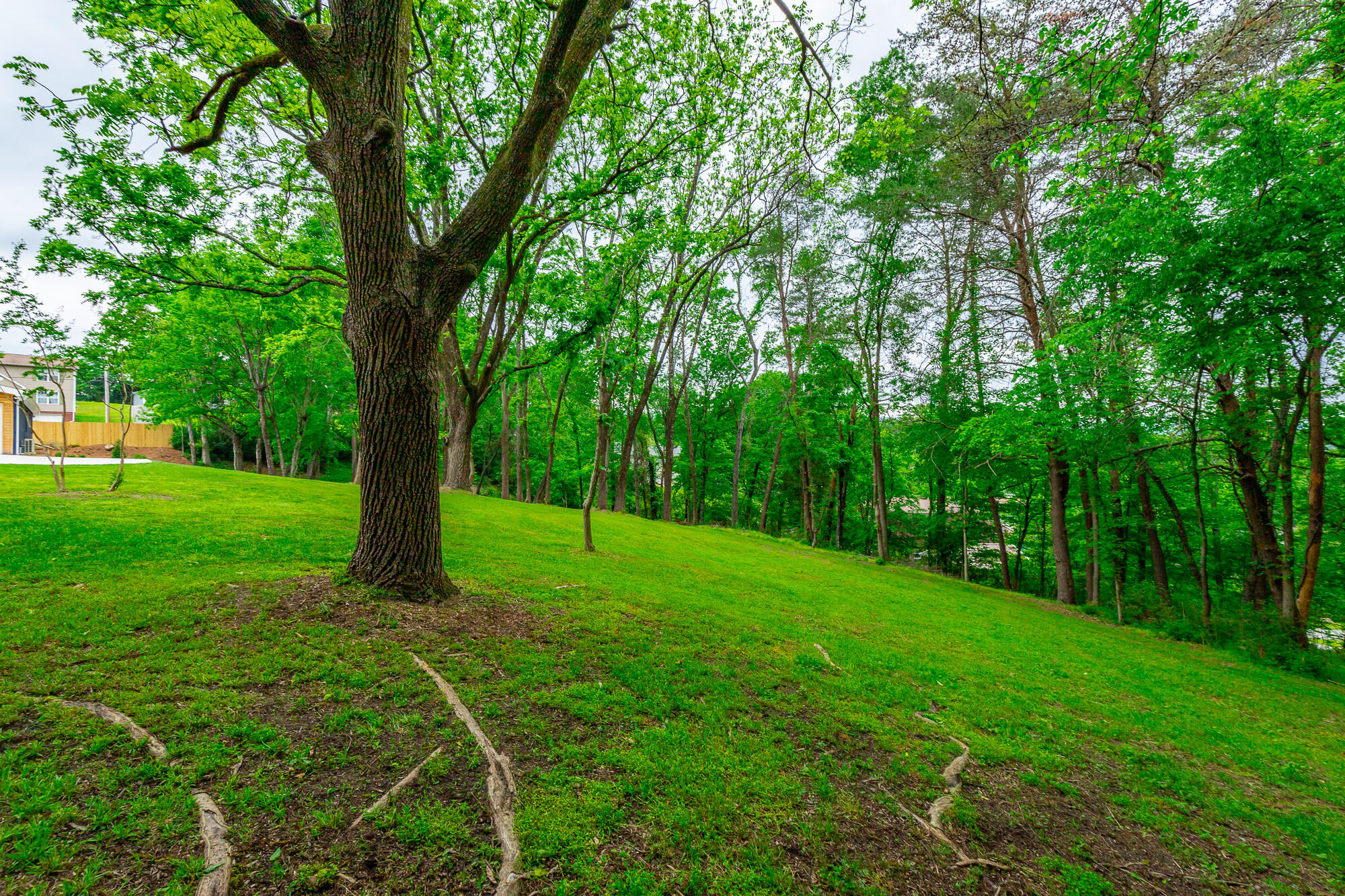 1203 Thomas Lane, Hixson, Tennessee image 13