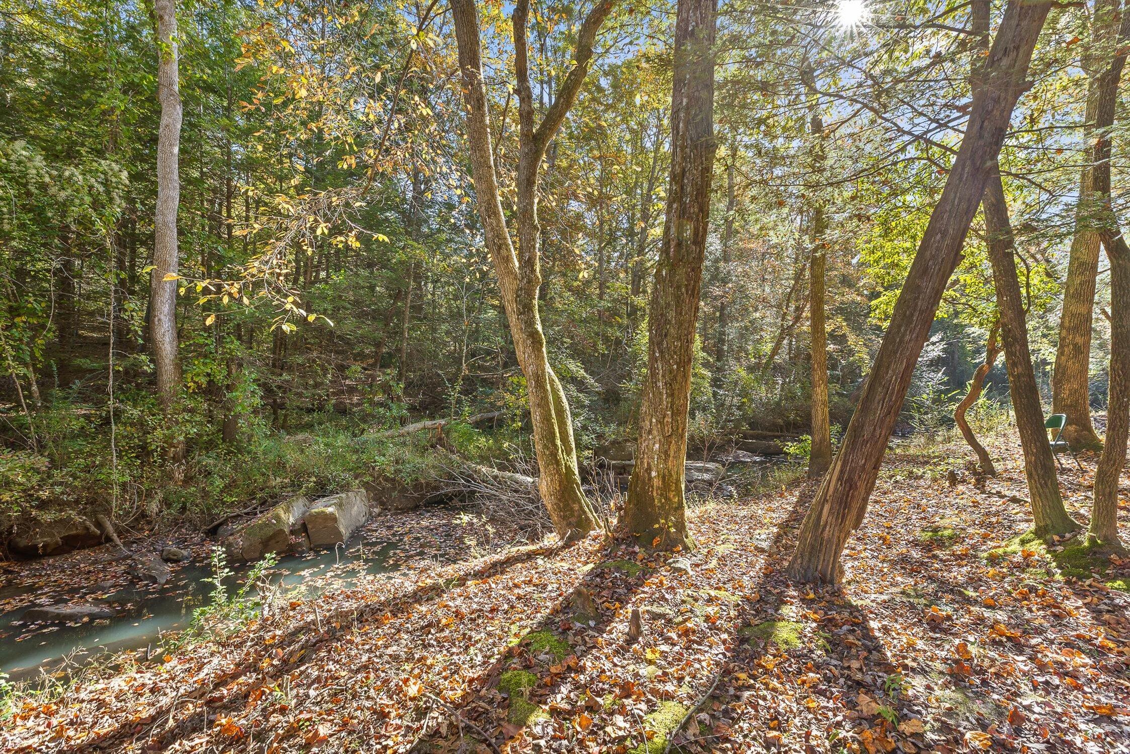 Crossville, Tennessee 38555, United States, 4 Bedrooms Bedrooms, ,3 BathroomsBathrooms,Residential,Active,230675