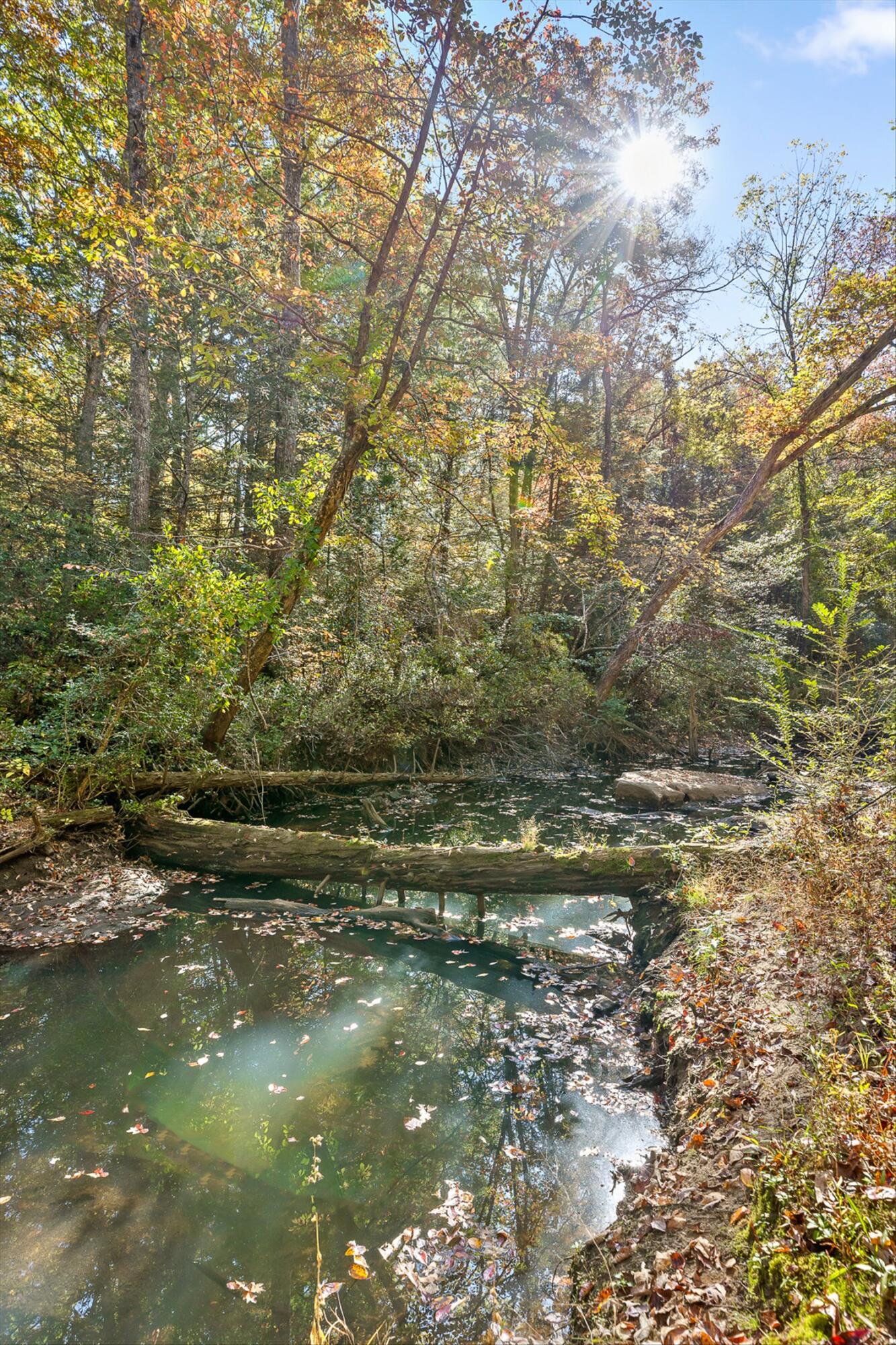 Crossville, Tennessee 38555, United States, 4 Bedrooms Bedrooms, ,3 BathroomsBathrooms,Residential,Active,230675