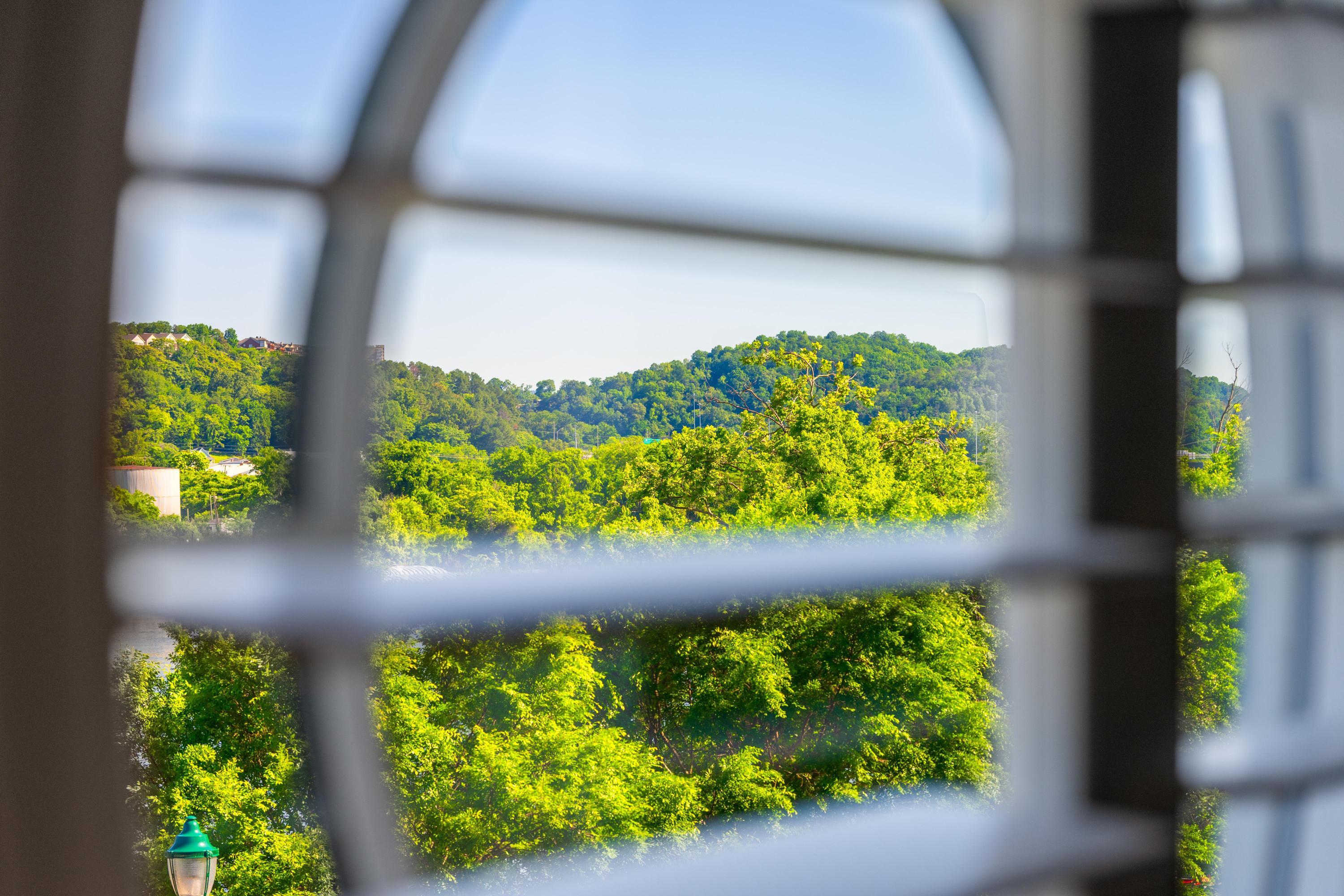 778 Latitude Circle, Chattanooga, Tennessee image 34