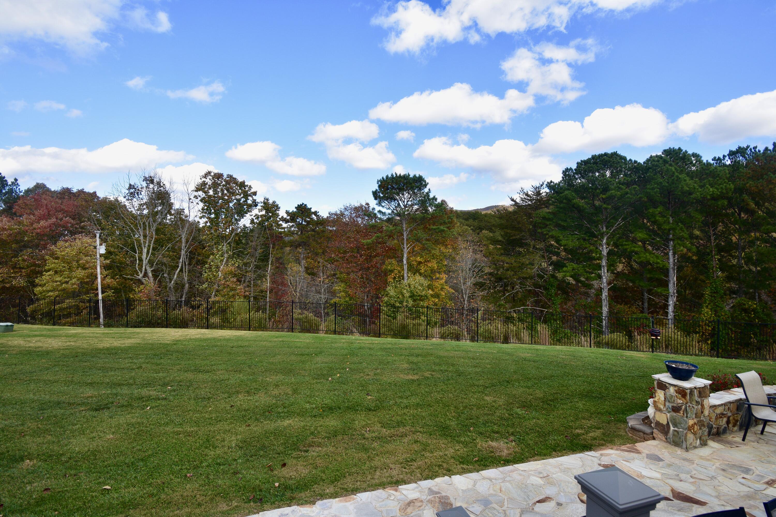 334 Belaire Drive, Copperhill, Tennessee image 20