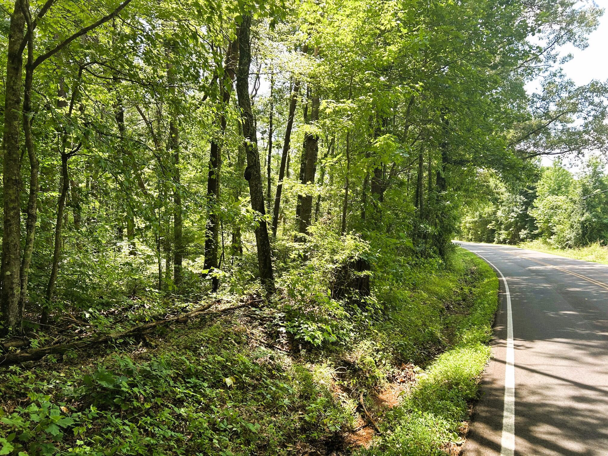 Tract 4 Pleasant Hill Road