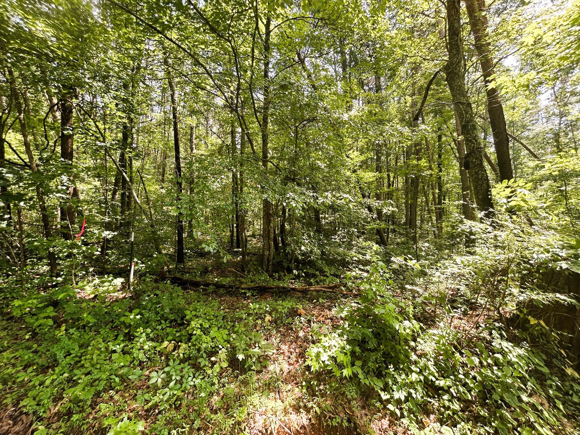 Tract 4 Pleasant Hill Road