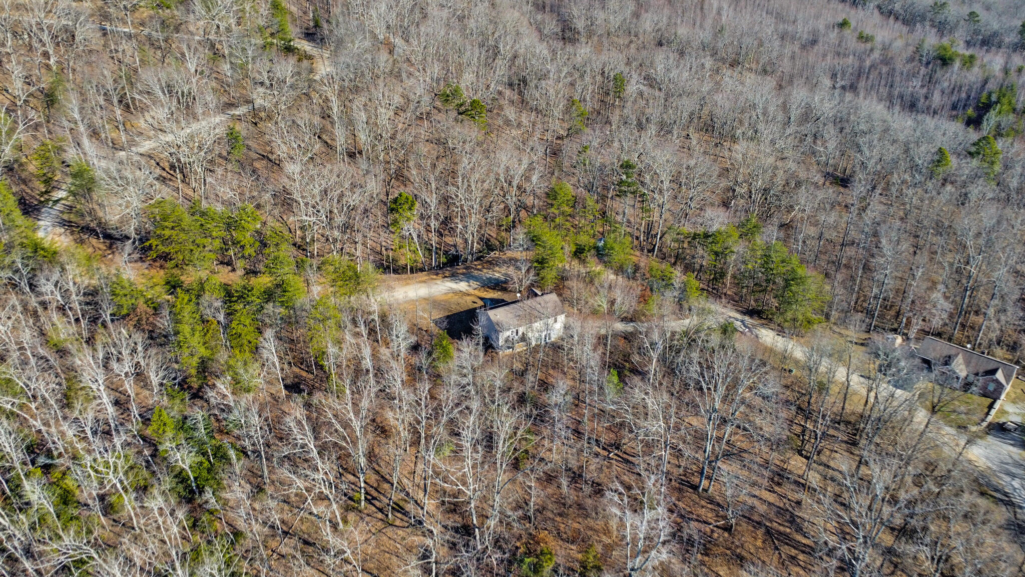 255 Oxford Drive, Dayton, Tennessee image 34