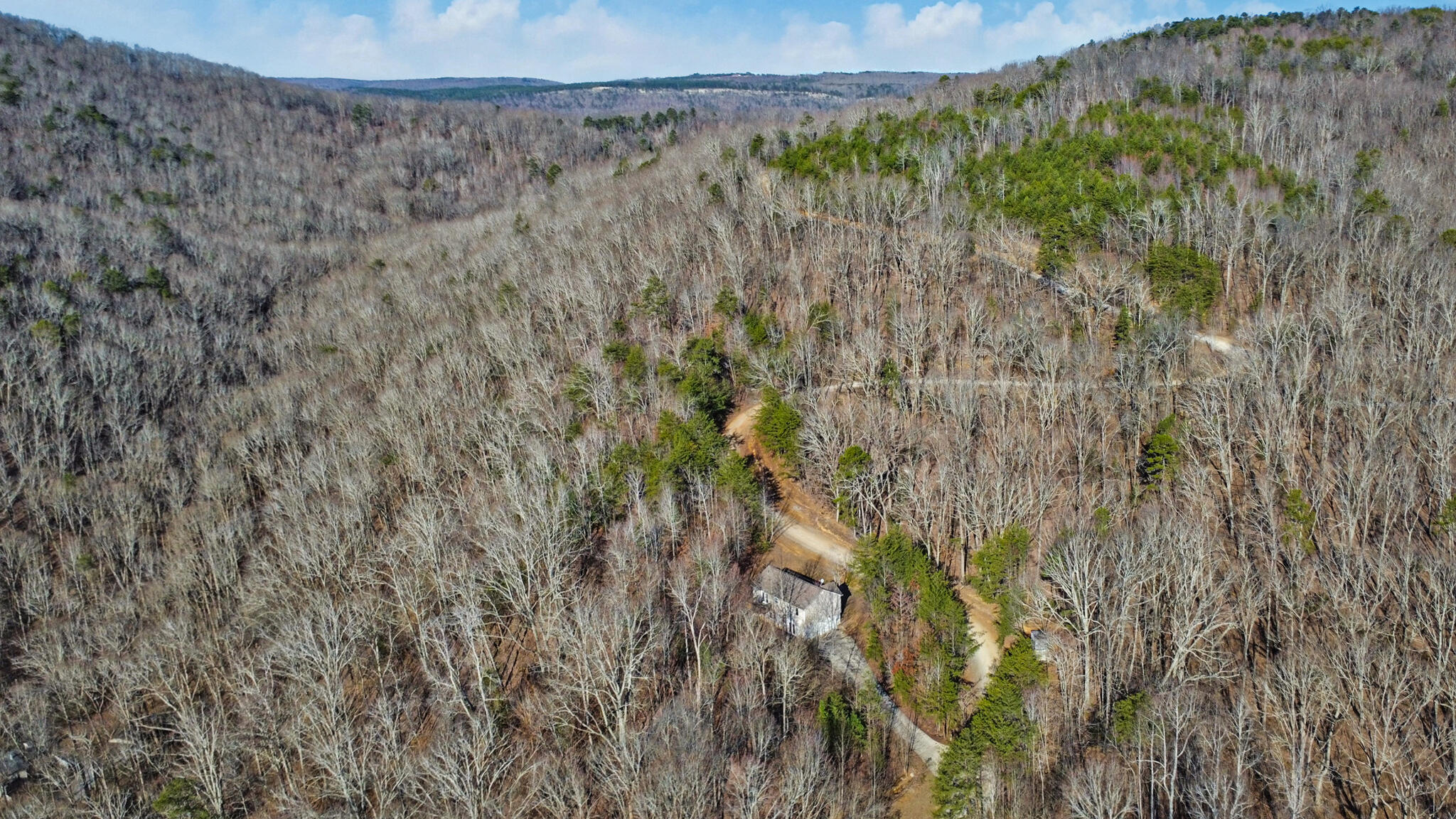 255 Oxford Drive, Dayton, Tennessee image 36