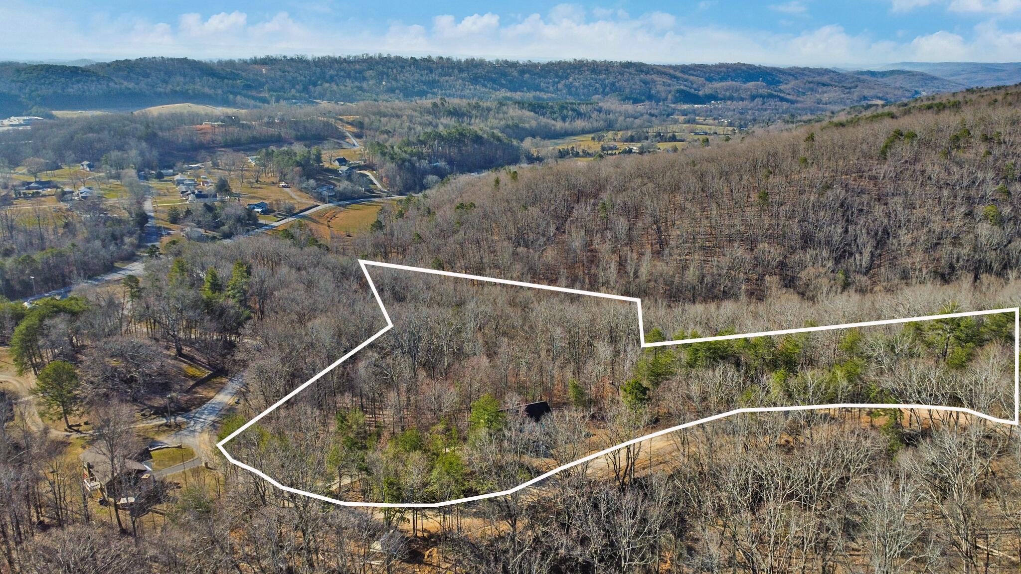 255 Oxford Drive, Dayton, Tennessee image 3