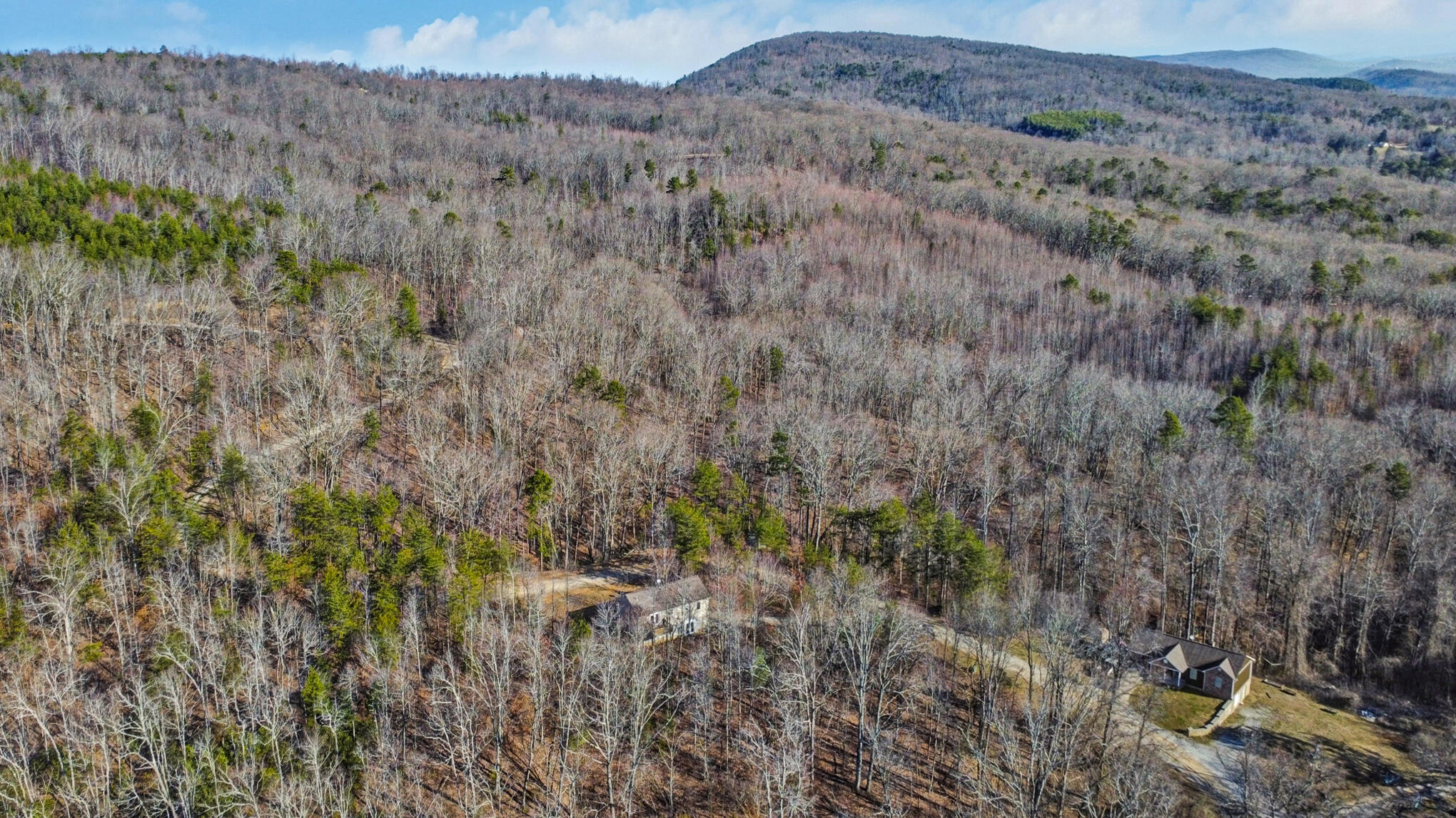 255 Oxford Drive, Dayton, Tennessee image 35