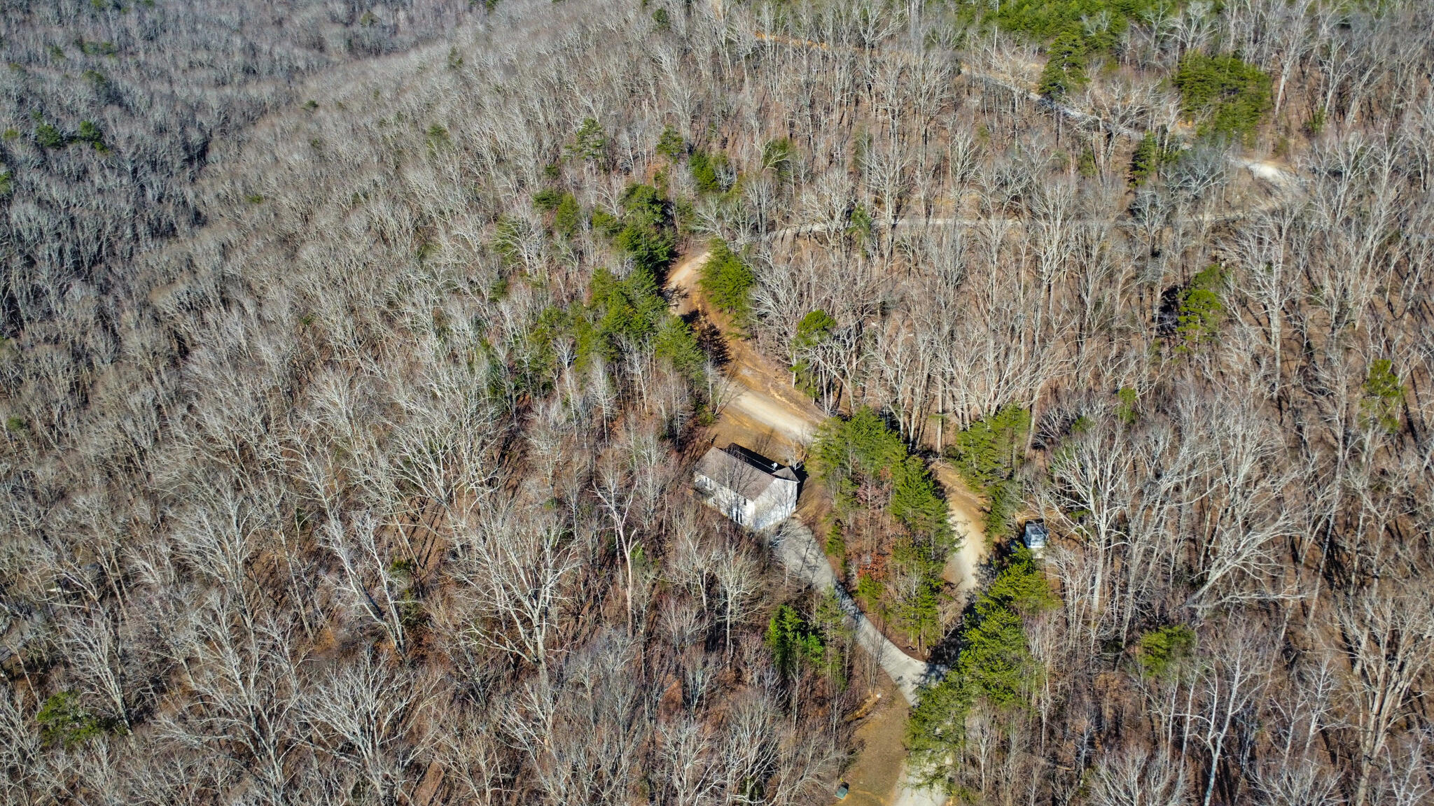 255 Oxford Drive, Dayton, Tennessee image 37