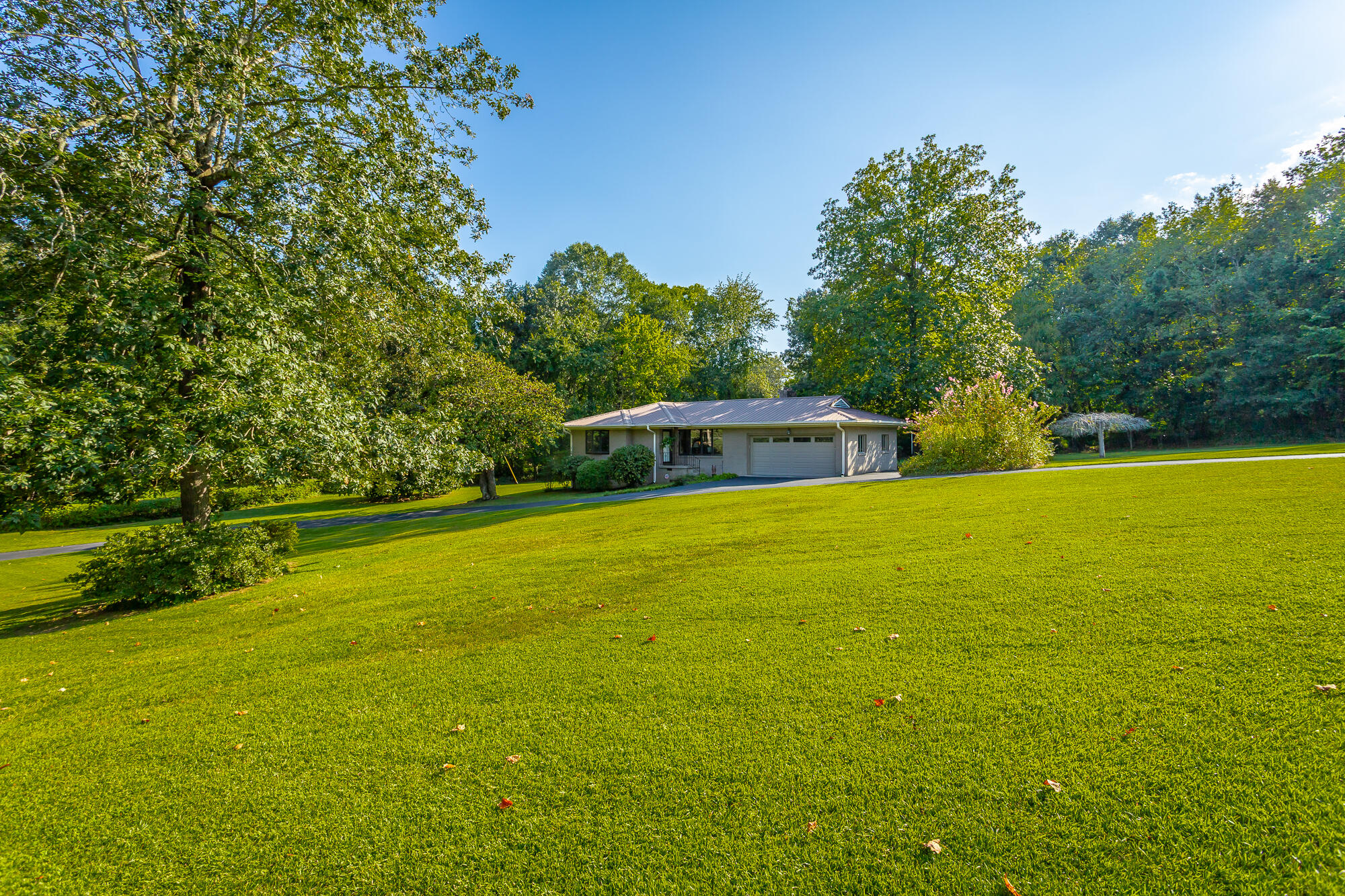 2014 Albermarle Drive