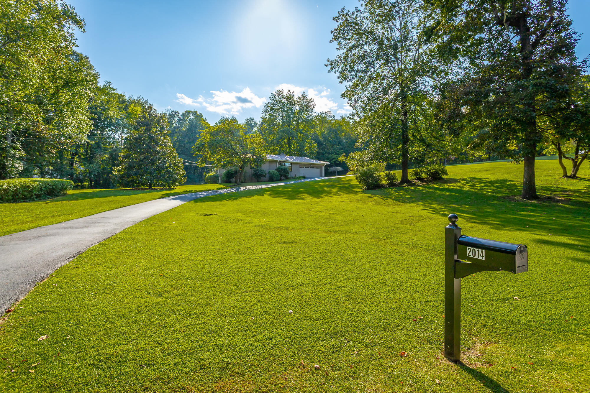 2014 Albermarle Drive