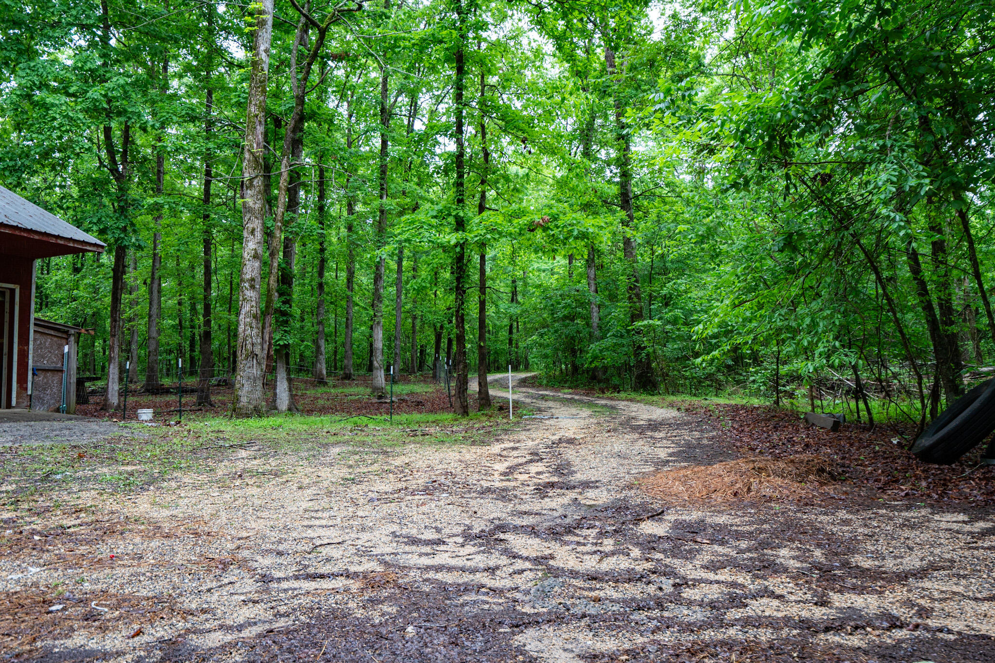 519 Savannah Lane, Dayton, Tennessee image 12
