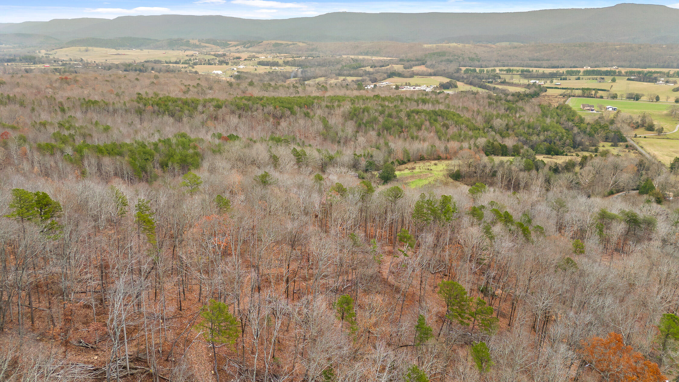 1367 Mount Airy Road, Dunlap, Tennessee image 9