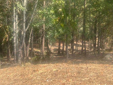 Photo of 14 Stonechase Lane, Cohutta, GA 30710 (MLS # 1520500)