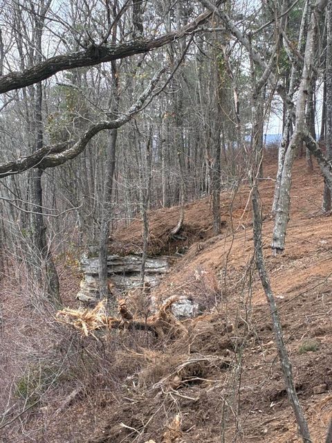 Photo of 4690 Split Rail Way, Guild, TN 37340 (MLS # 1524433)