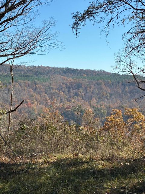 Photo of 4690 Split Rail Way, Guild, TN 37340 (MLS # 1524433)
