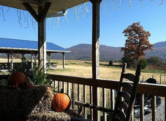 35 Johnny Wheeler Lane, Dunlap, Tennessee image 37