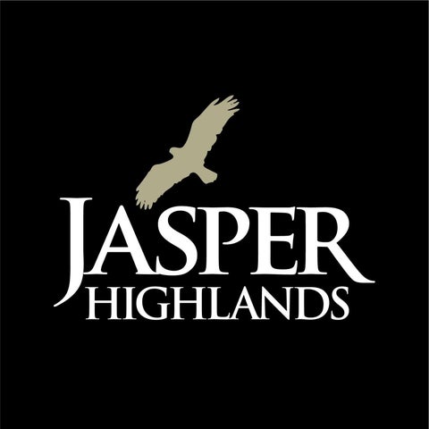 Vacant Land For Sale - 205 Poplar Bend<br/> Jasper, TN 37347