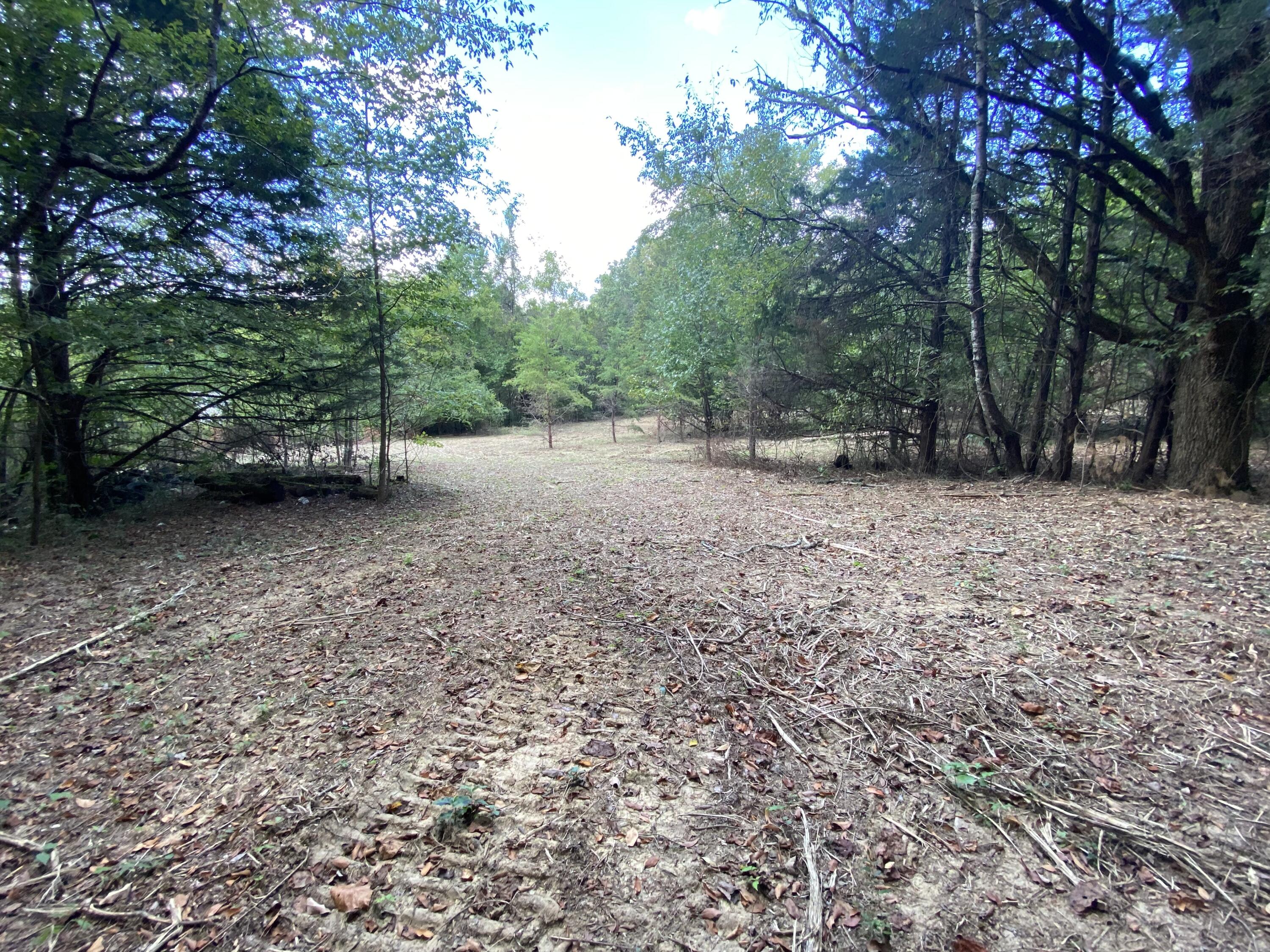 Graham Road, Dunlap, Tennessee image 4