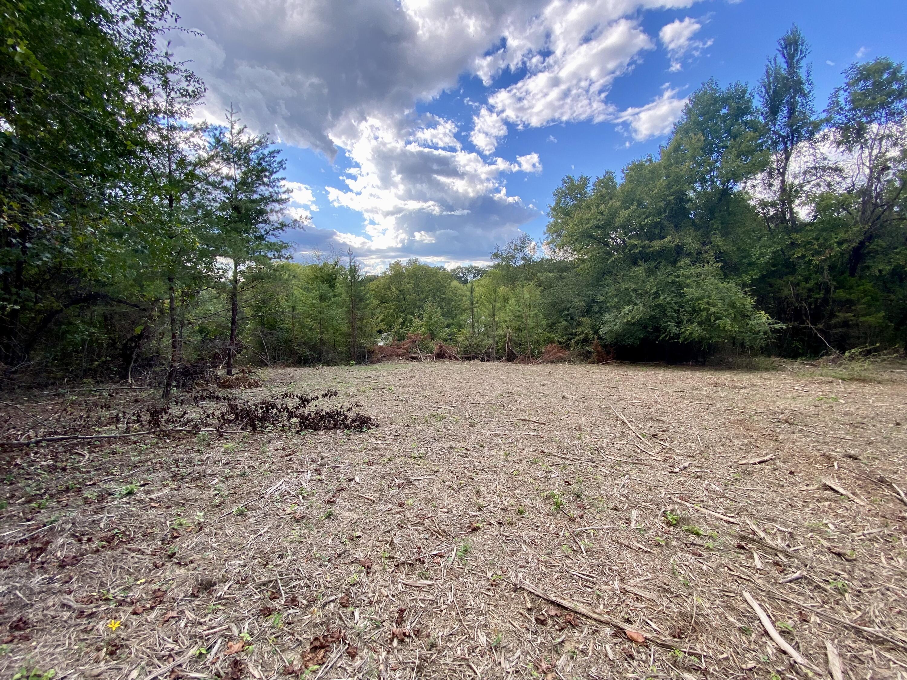 Graham Road, Dunlap, Tennessee image 5