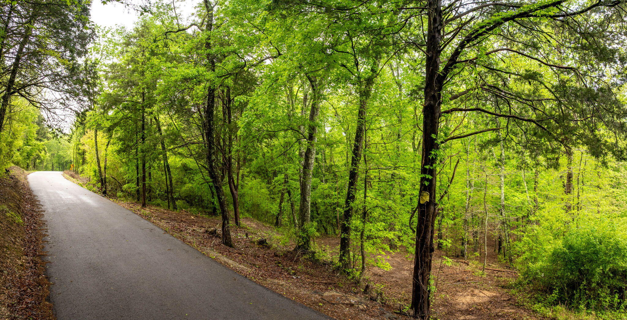 14009 Mt Annie Church Road, Soddy Daisy, Tennessee image 19