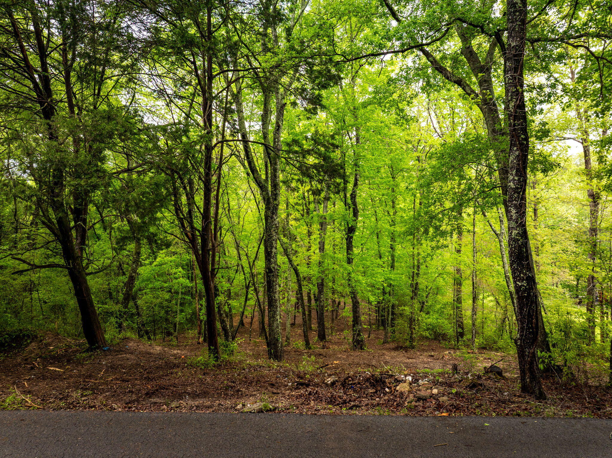 14009 Mt Annie Church Road, Soddy Daisy, Tennessee image 18
