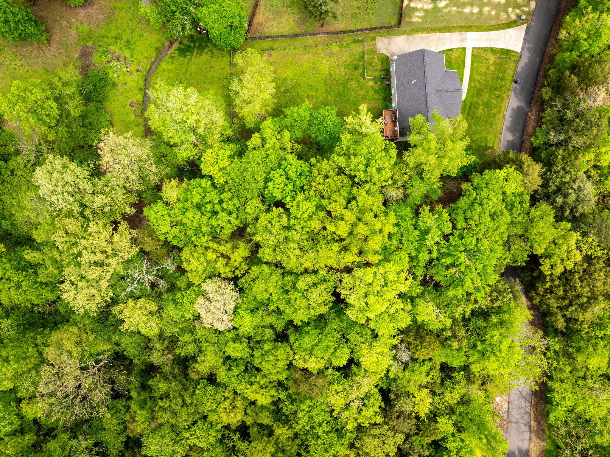 14009 Mt Annie Church Road, Soddy Daisy, Tennessee image 14