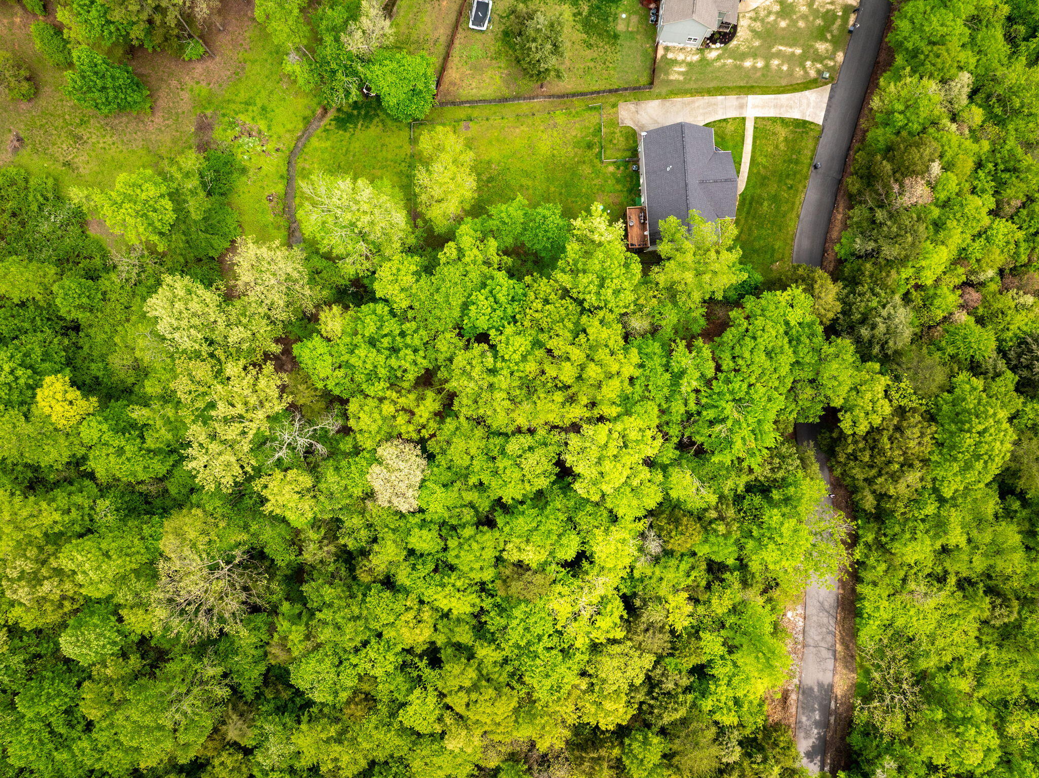 14009 Mt Annie Church Road, Soddy Daisy, Tennessee image 13