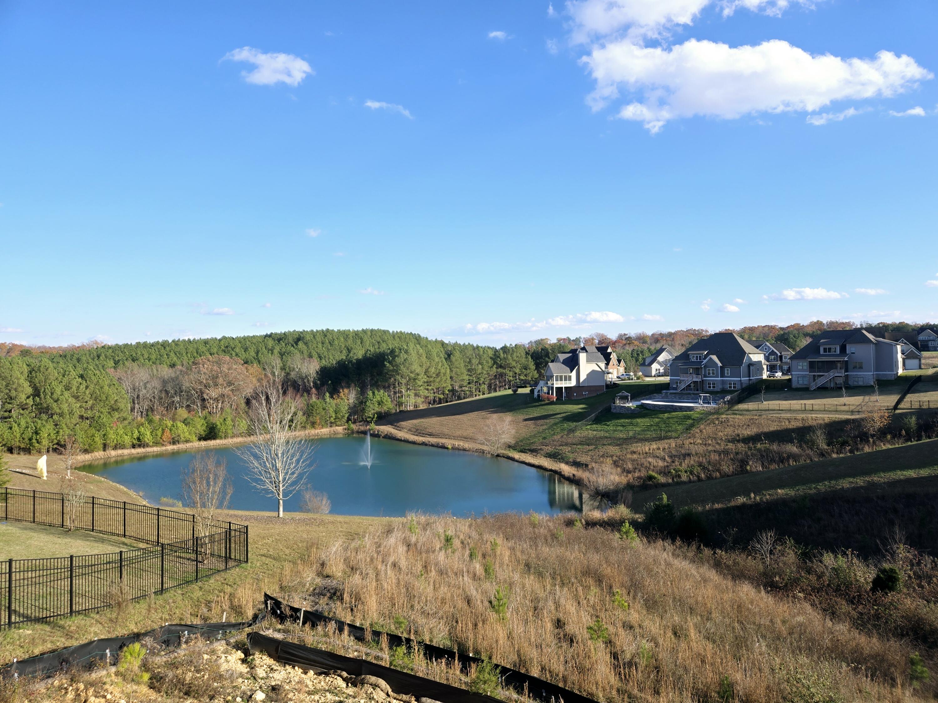 13132 Blakeslee Drive #47, Soddy Daisy, Tennessee image 45