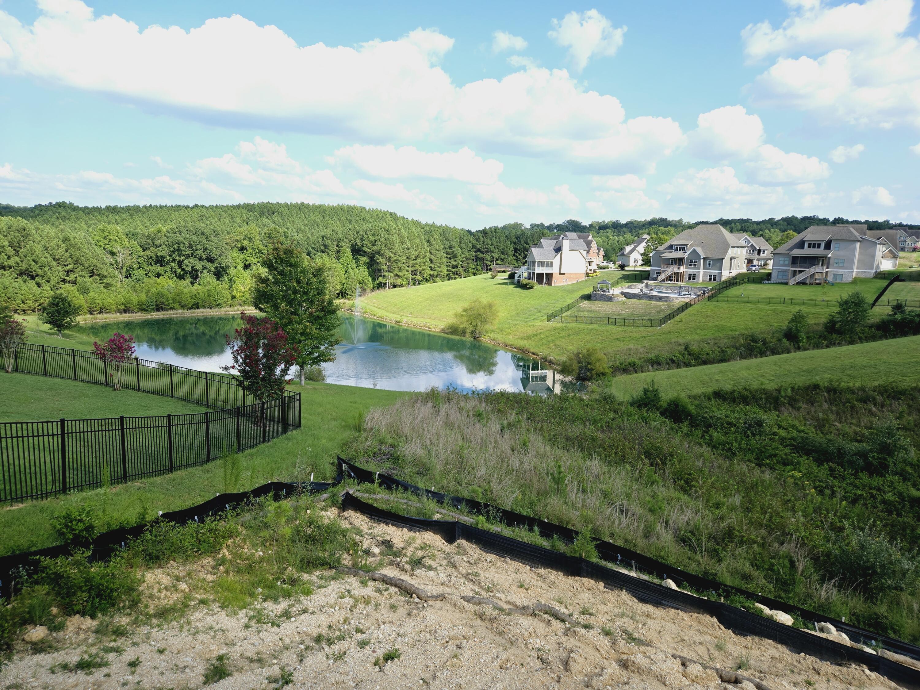 13132 Blakeslee Drive #47, Soddy Daisy, Tennessee image 44