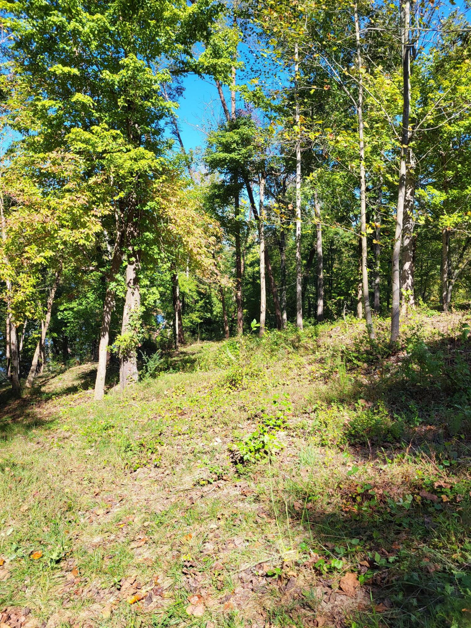 15003 May Road, Sale Creek, Tennessee image 12