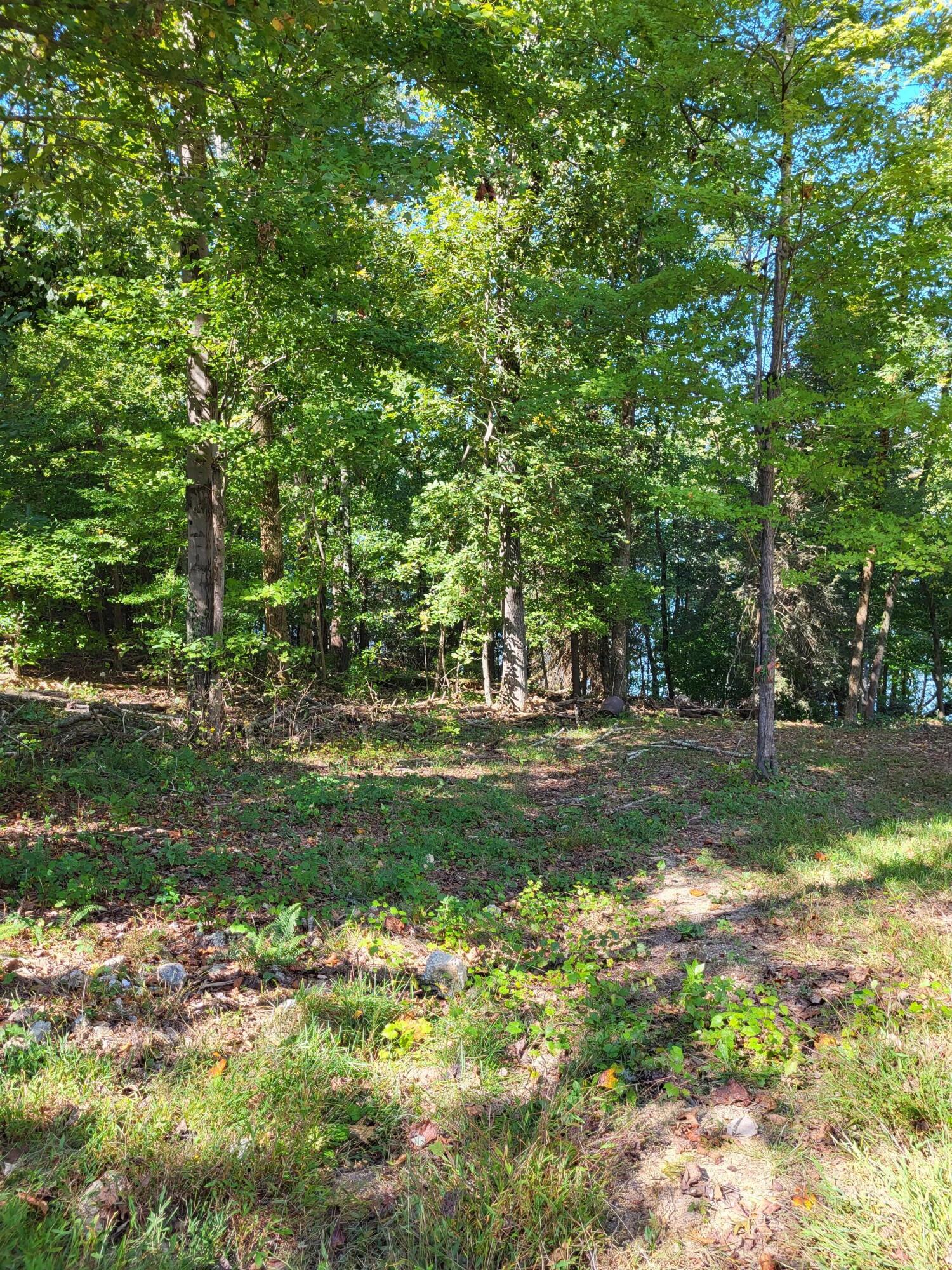 15003 May Road, Sale Creek, Tennessee image 14
