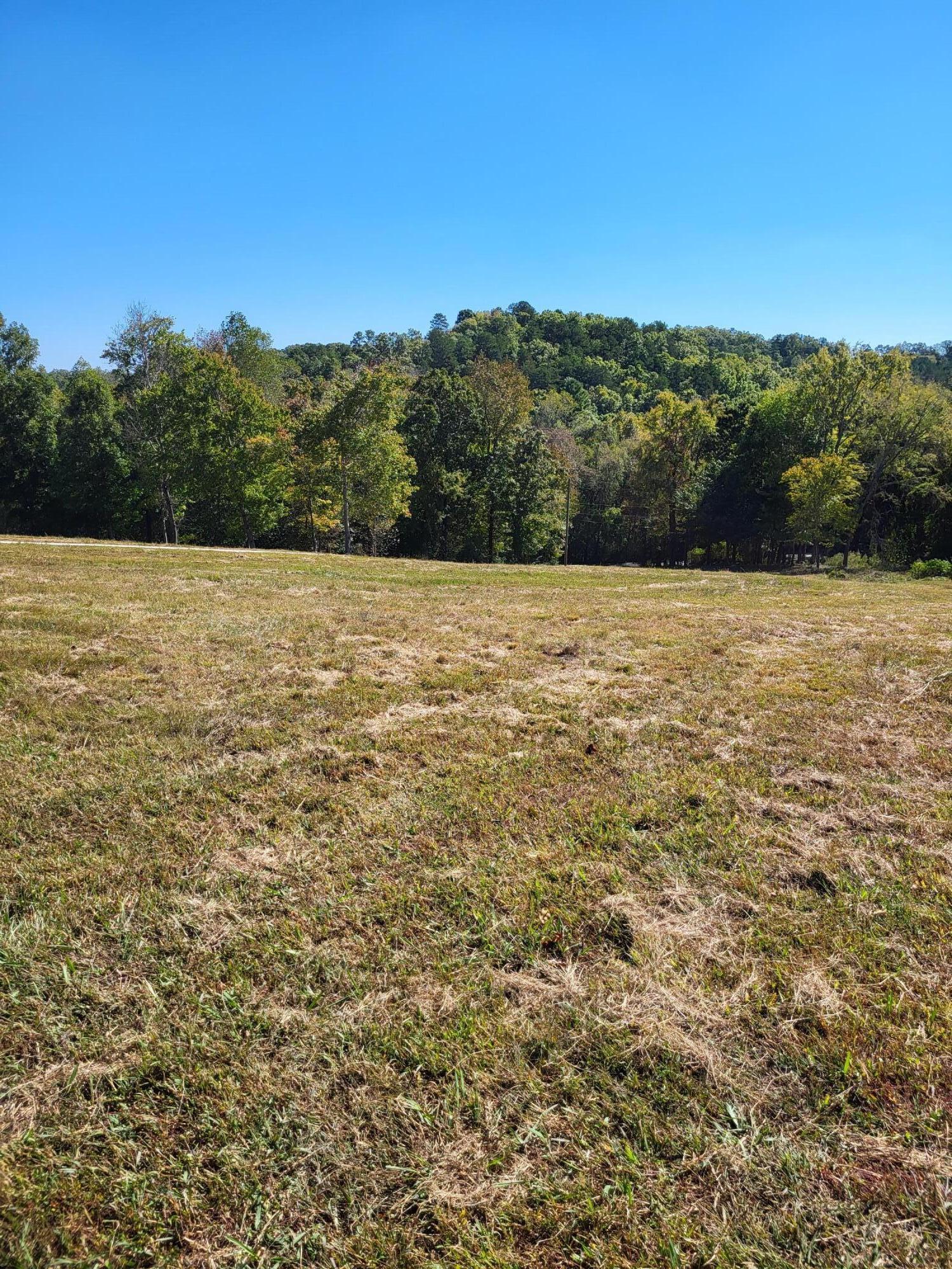 15003 May Road, Sale Creek, Tennessee image 10