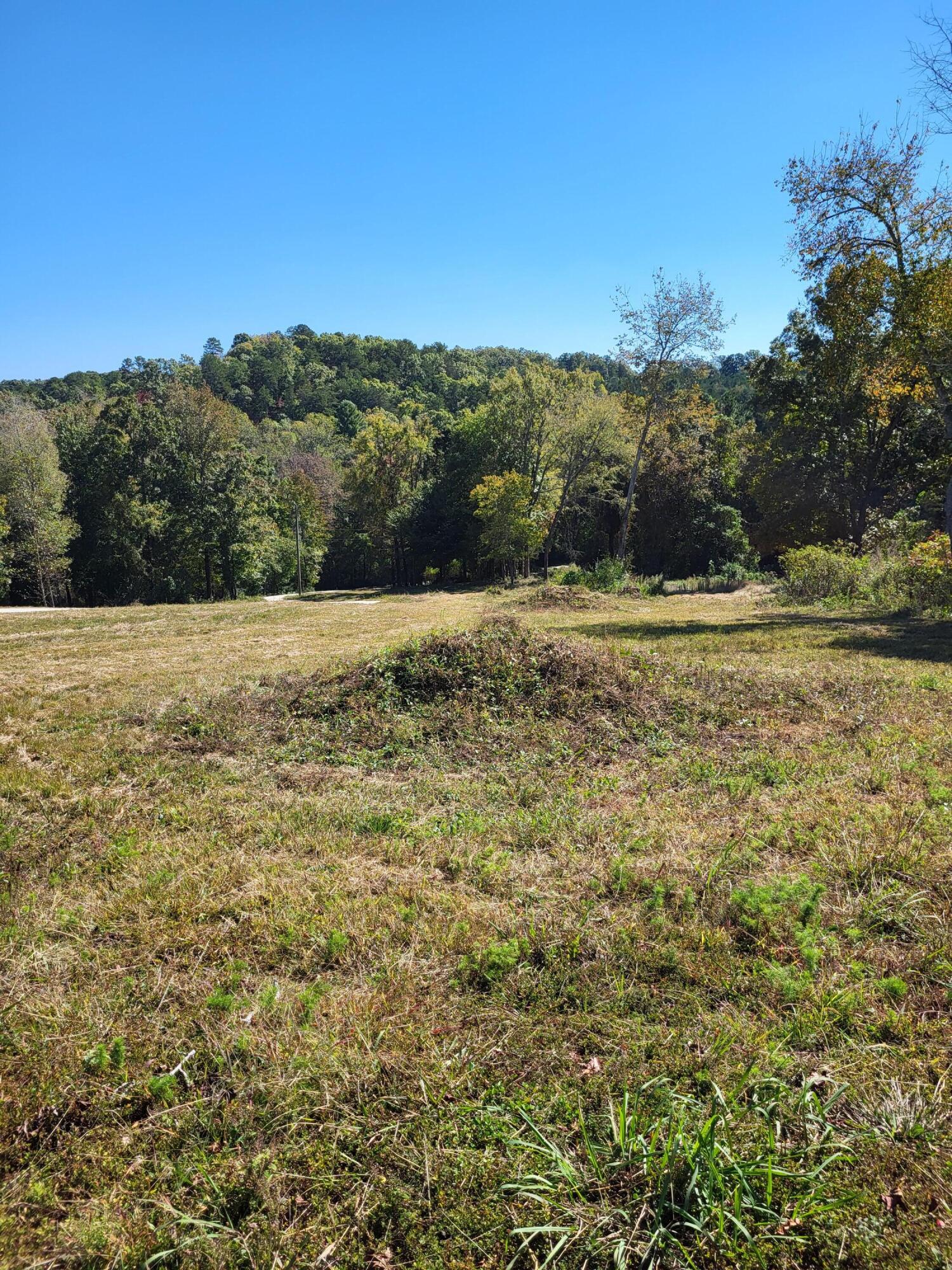 15003 May Road, Sale Creek, Tennessee image 11