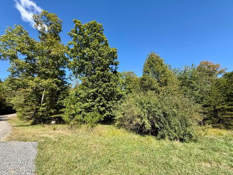 Photo of 0 Owl Hollow Road, Palmer, TN 37365 (MLS # 1533099)
