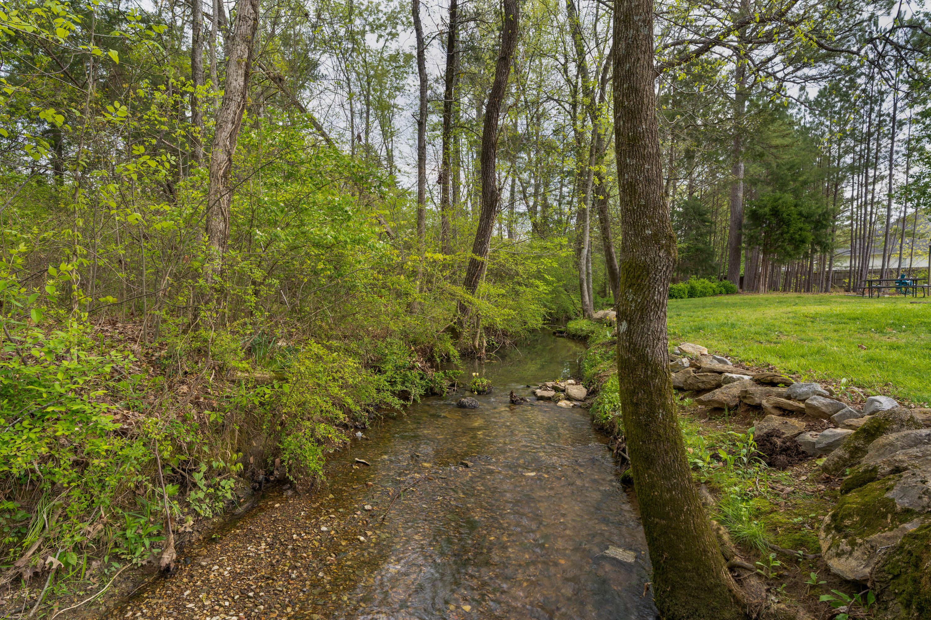 8583 Pershing Road, Chattanooga, Tennessee image 44