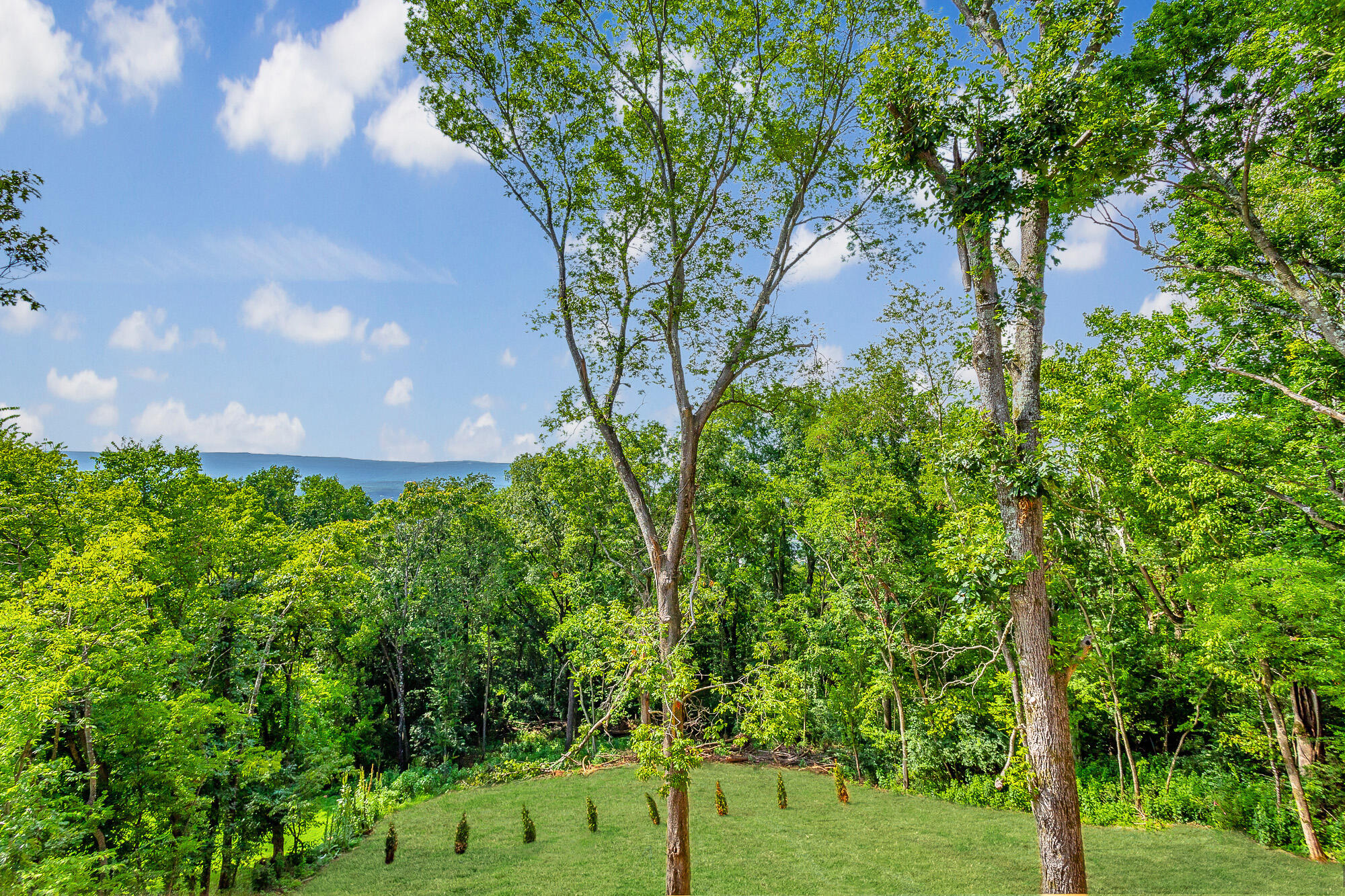 6577 Fairview Road