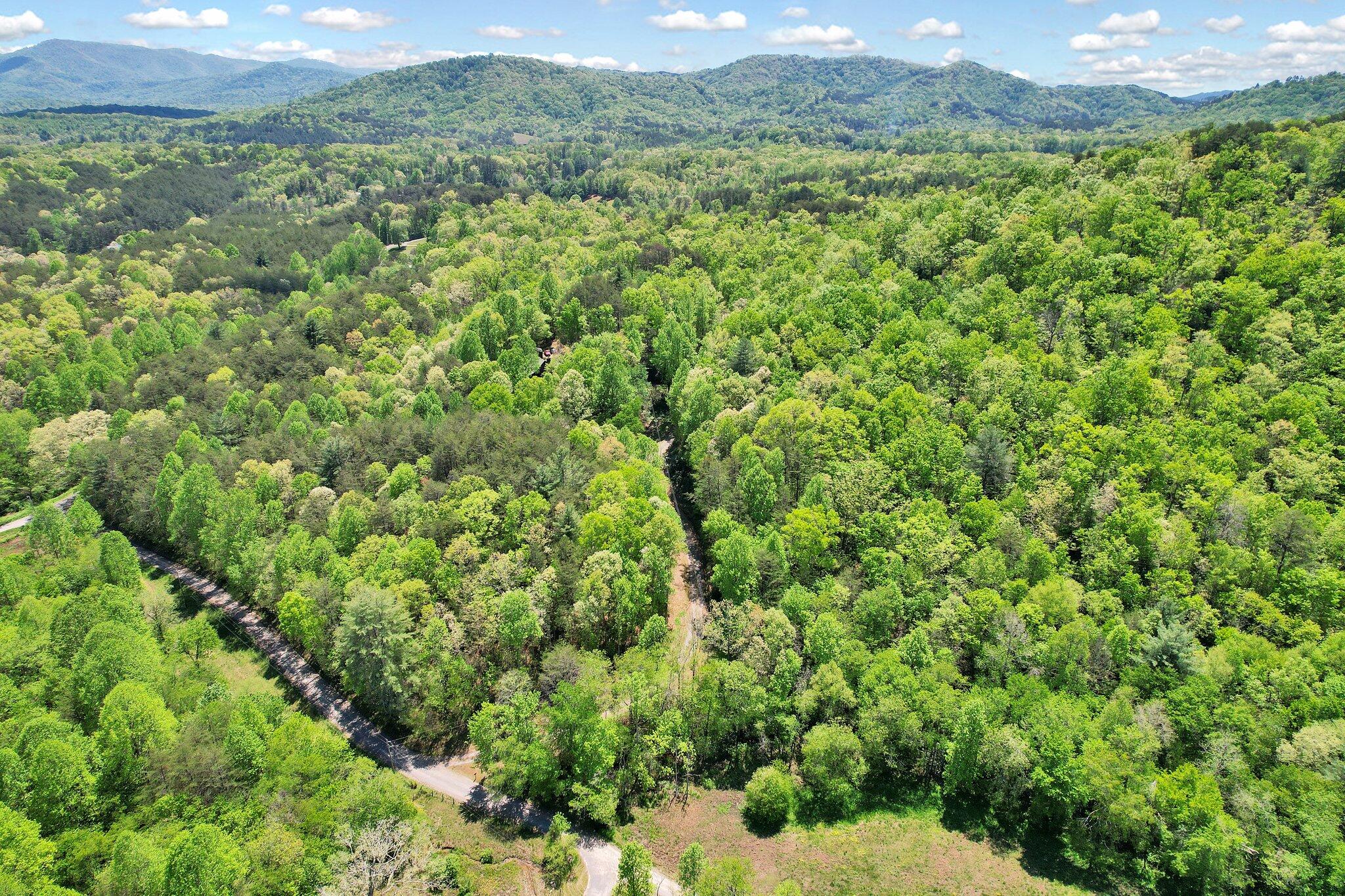 147 Blalock Drive, Turtletown, Tennessee image 44