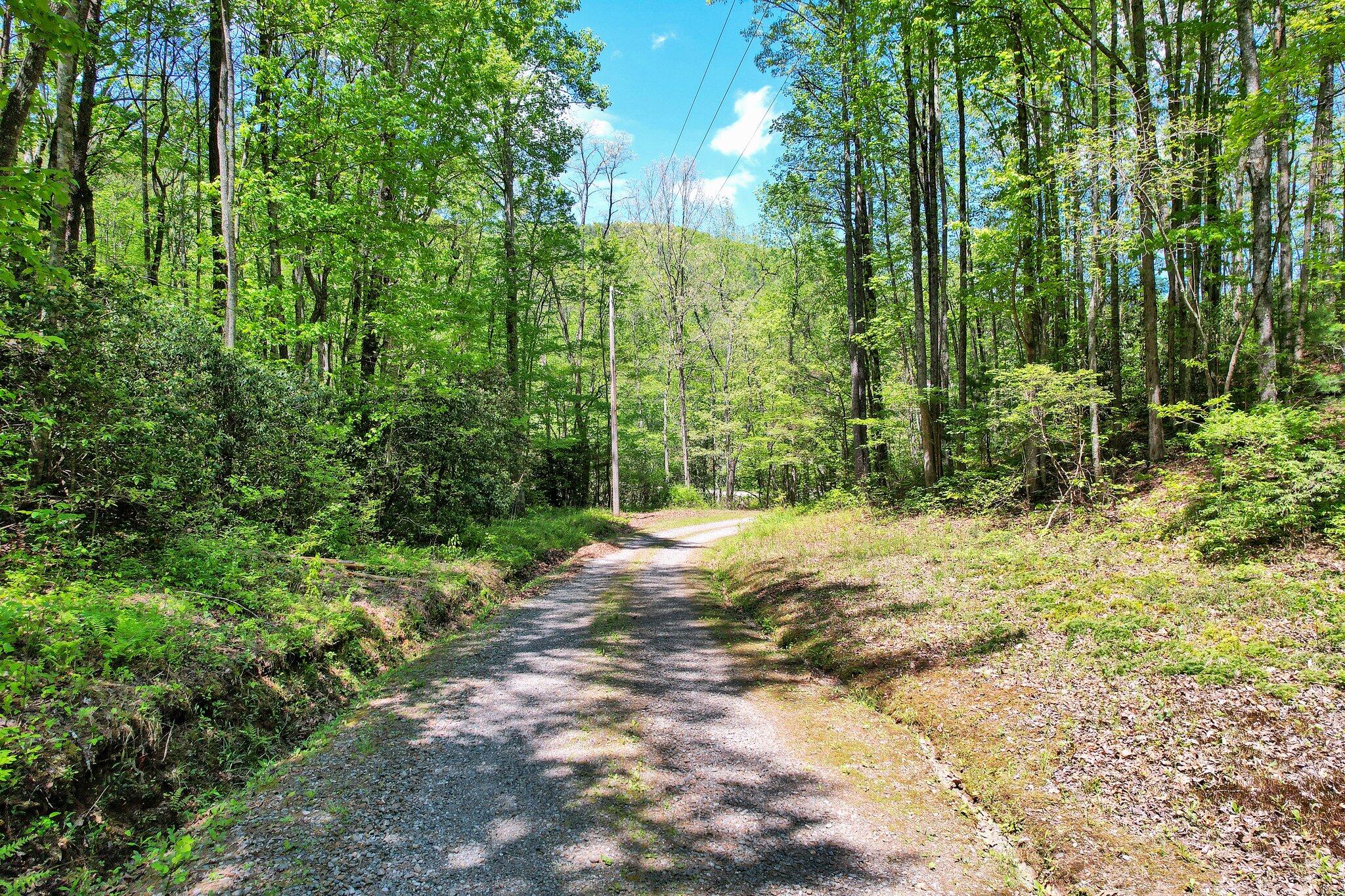 147 Blalock Drive, Turtletown, Tennessee image 50