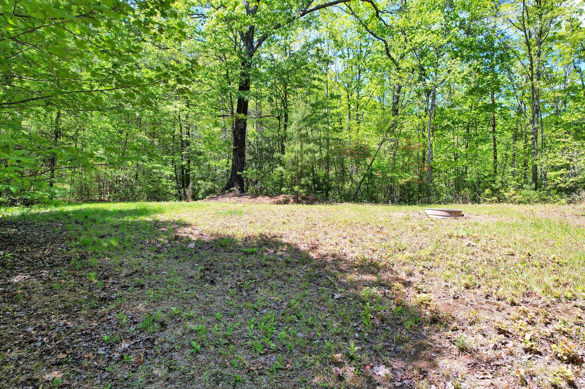 147 Blalock Drive, Turtletown, Tennessee image 42