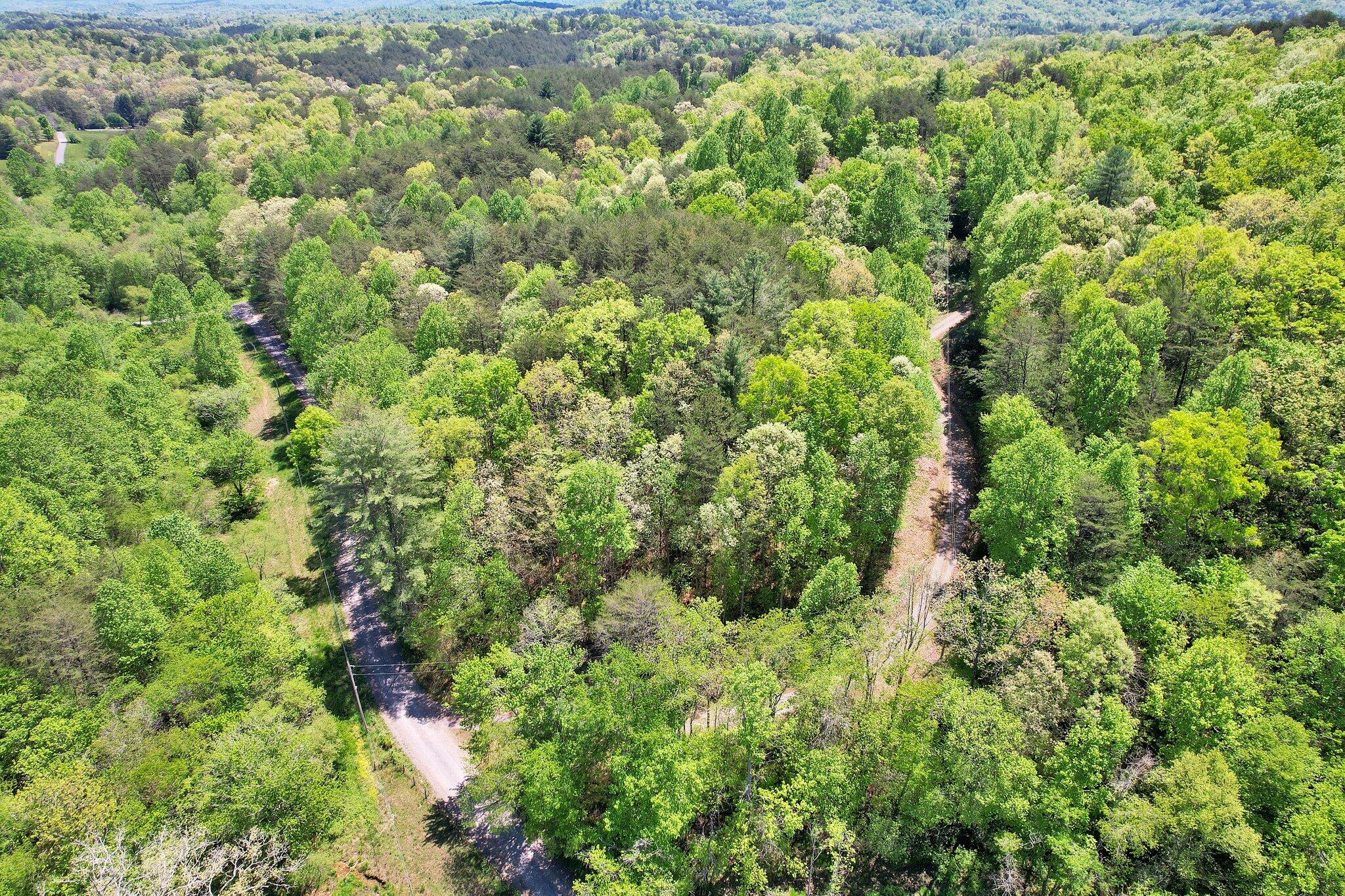 147 Blalock Drive, Turtletown, Tennessee image 45