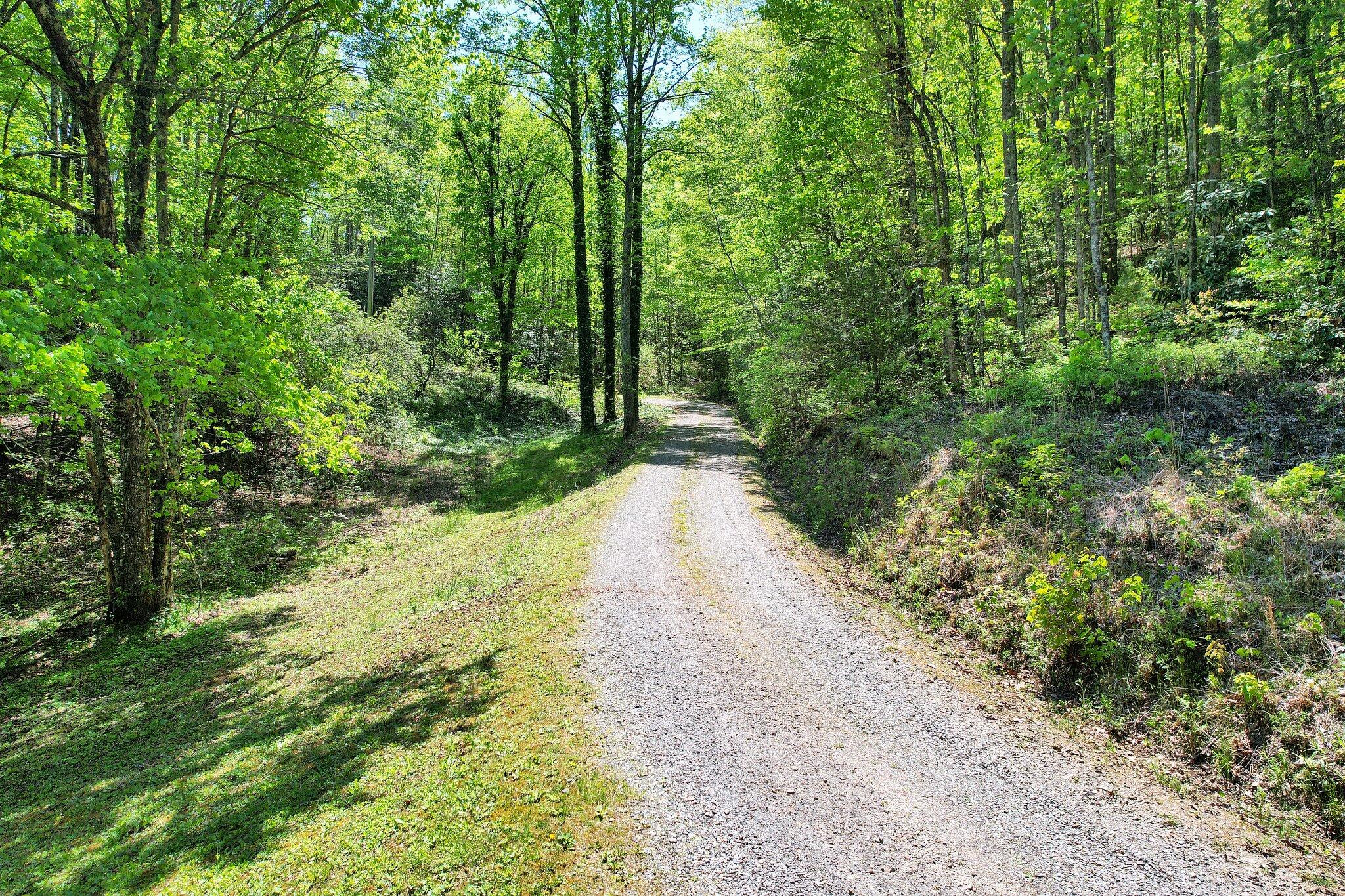 147 Blalock Drive, Turtletown, Tennessee image 47