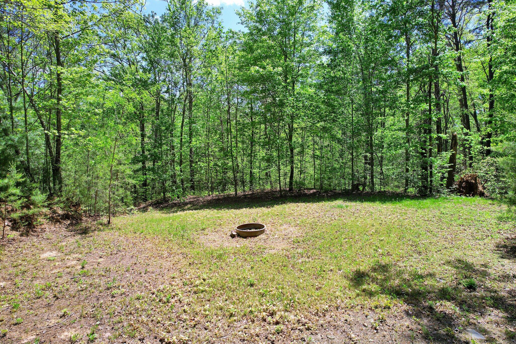 147 Blalock Drive, Turtletown, Tennessee image 40