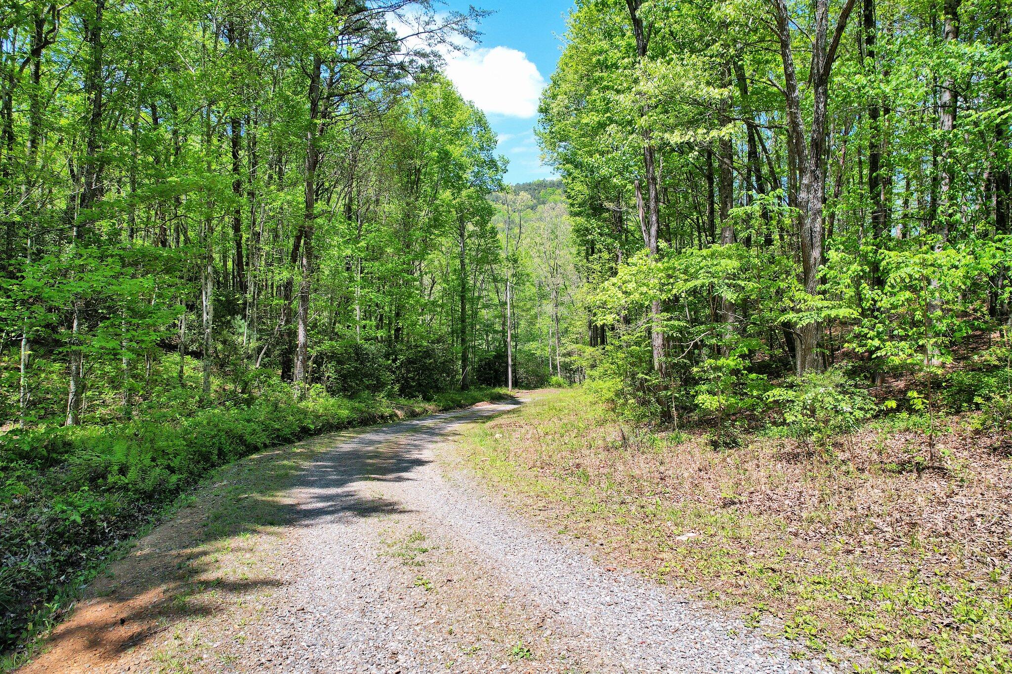 147 Blalock Drive, Turtletown, Tennessee image 49