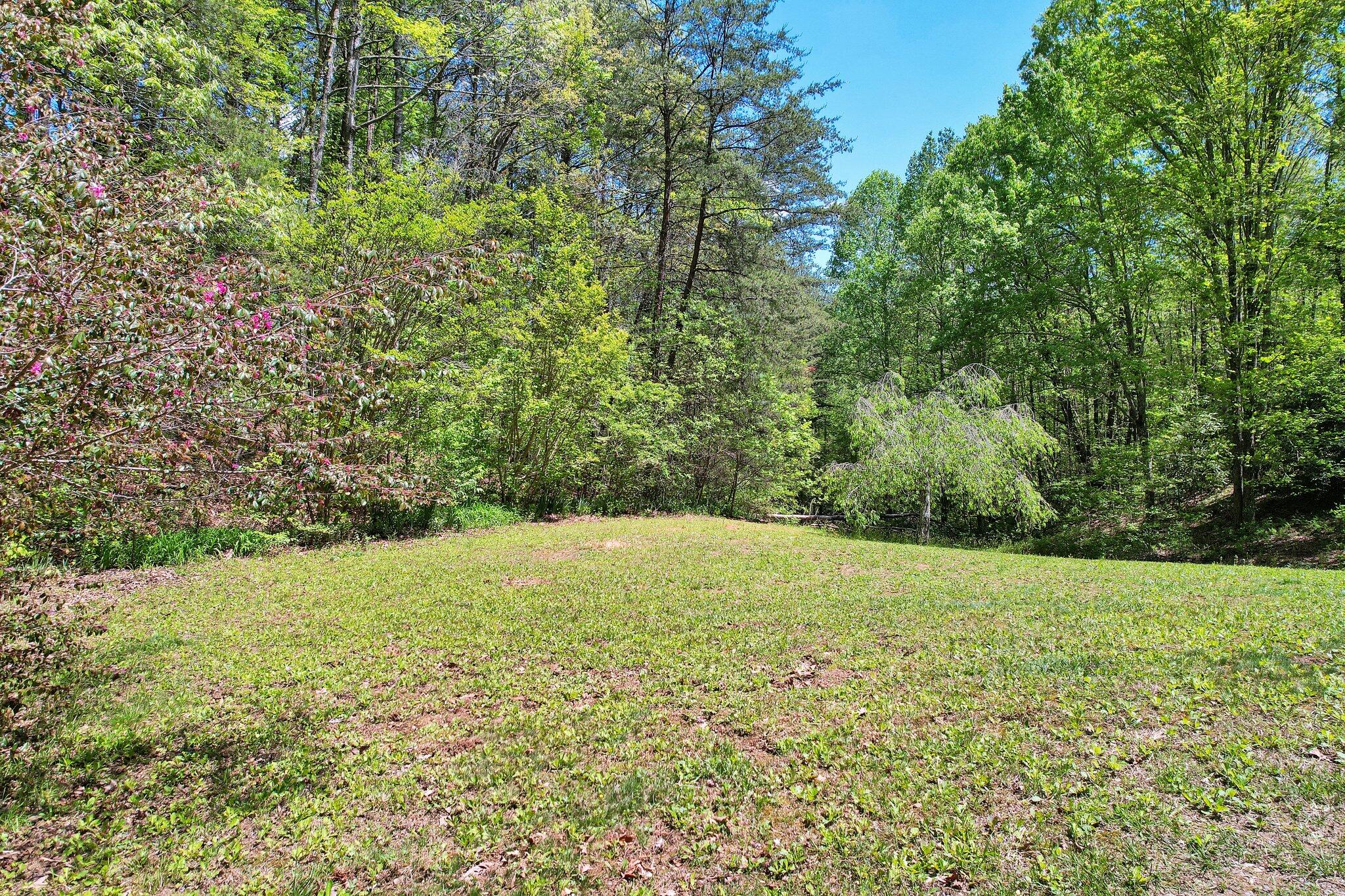 147 Blalock Drive, Turtletown, Tennessee image 46