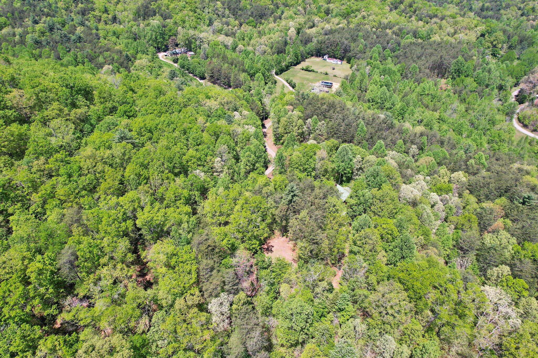 147 Blalock Drive, Turtletown, Tennessee image 37