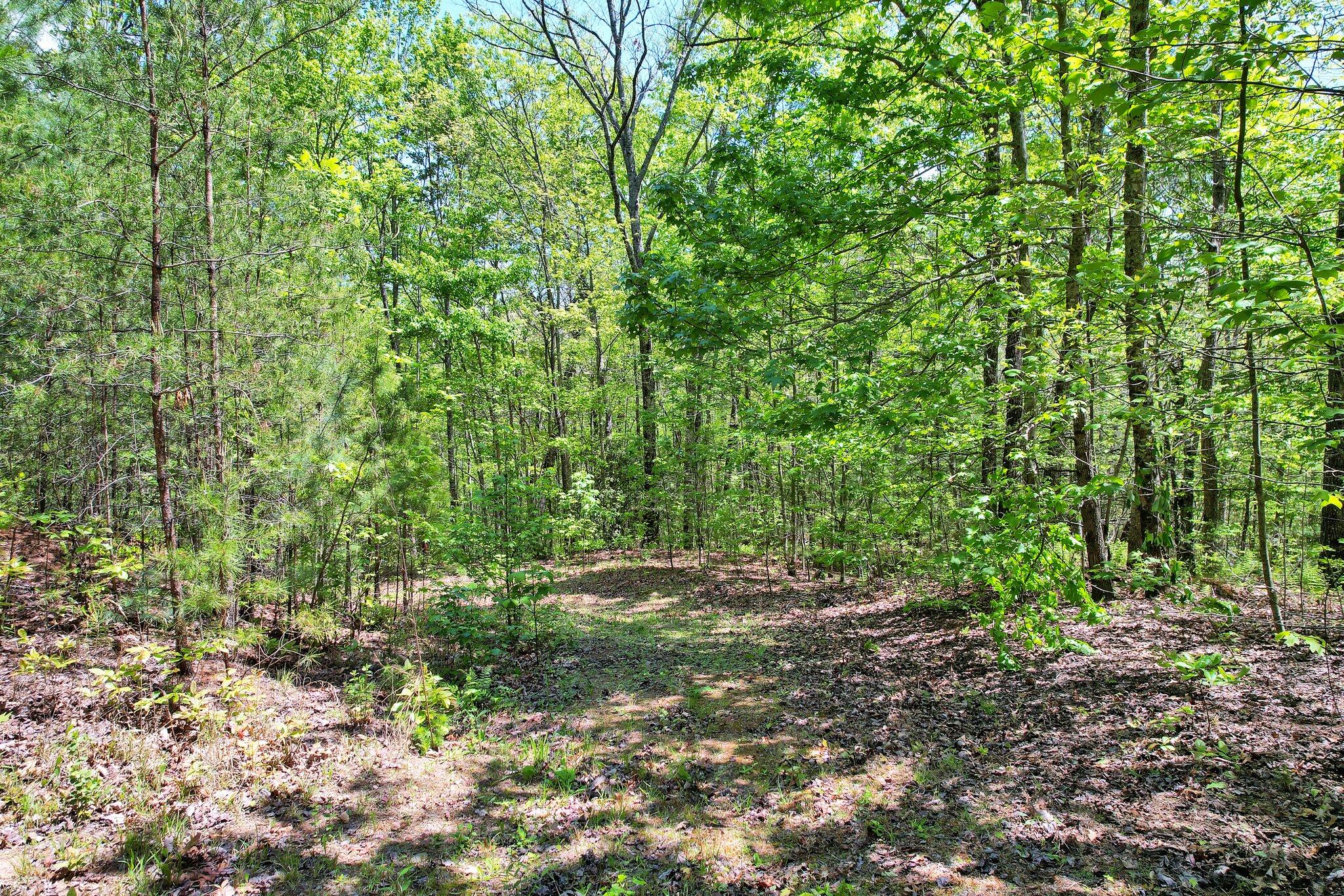 147 Blalock Drive, Turtletown, Tennessee image 41