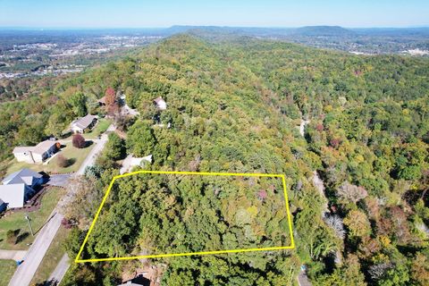 Photo of 9677 Bowen Trail, Ooltewah, TN 37363 (MLS # 1502399)